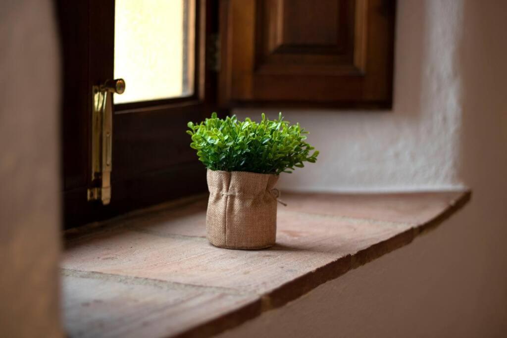 Casabenadalid. Casa Rural Con Piscina. エクステリア 写真